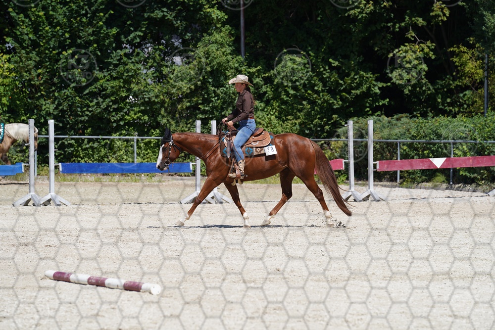 A7_08720.JPG